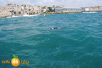  الشرطة ترجح إمكانية أن الجثة تعرضت للتعذيب والقتل والإلقاء في مياه البحر 